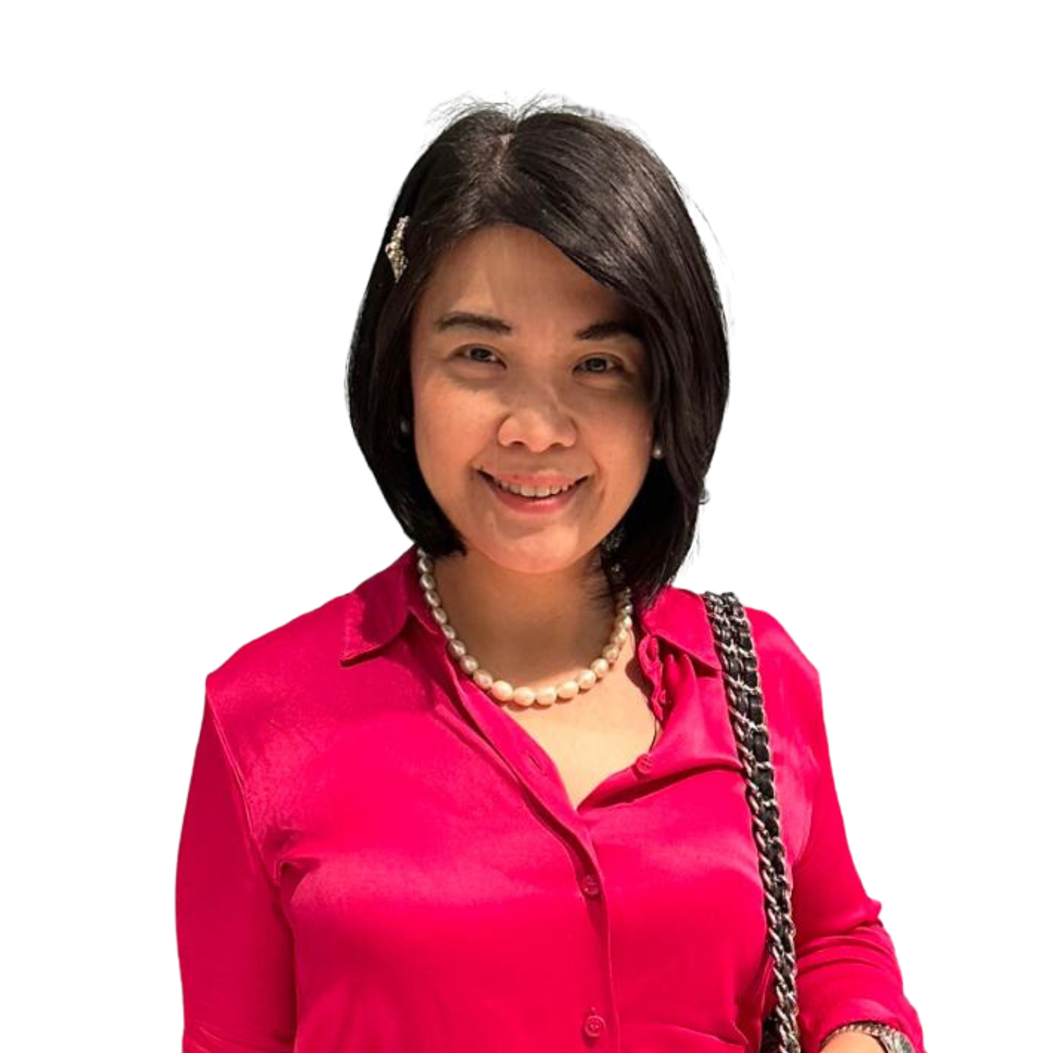 Audit_kns_Melmigrino